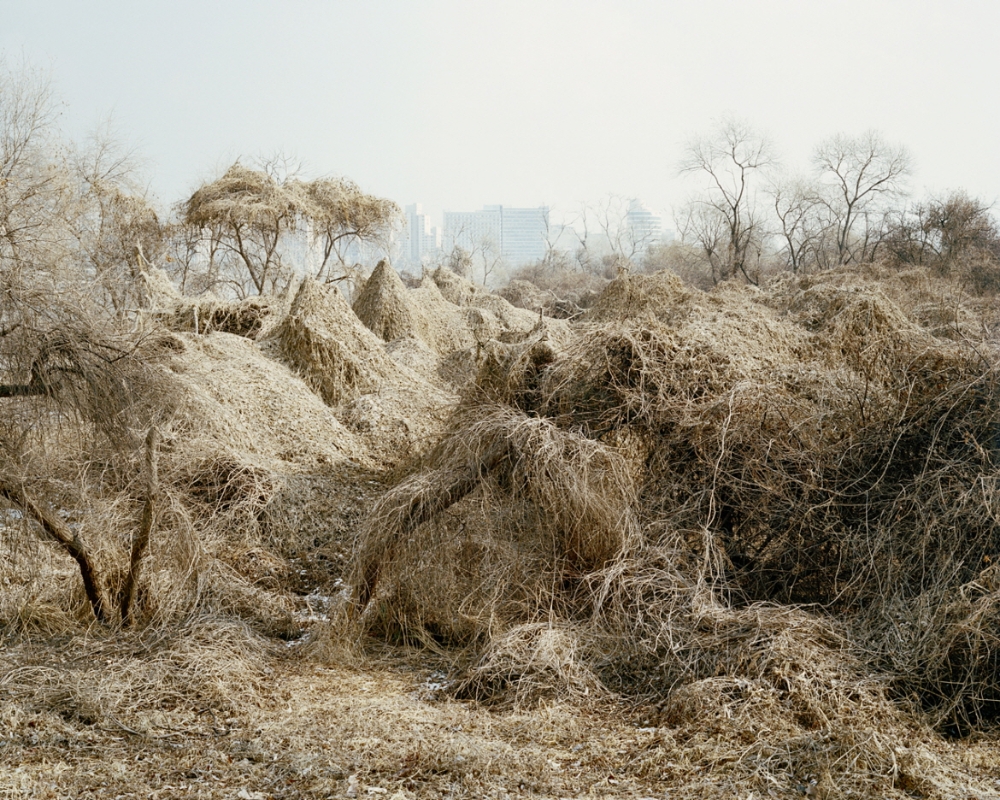 사진=제11회 KT&G SKOPF 최종작가 김승구 씨 작품 <밤섬>