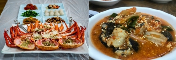 속초 맛집, 명물 한 자리에 다 모인 ‘송가네 맛집 물회’