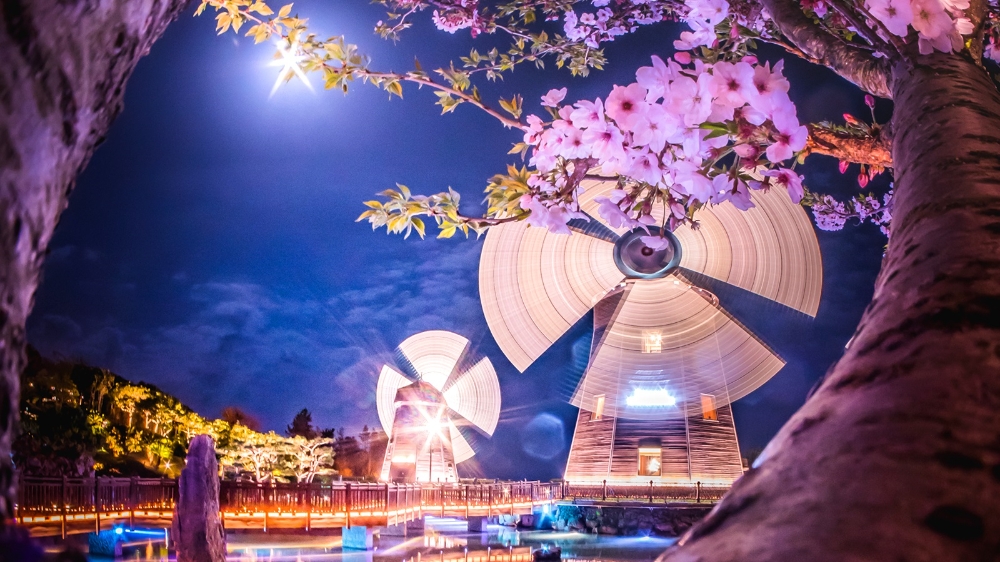 롯데호텔제주 봄날애 패키지 이미지. (사진= 롯데호텔제주)