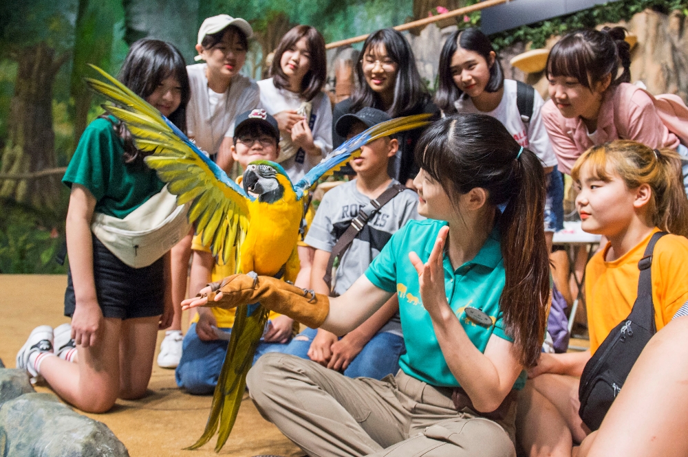 (사진=에버랜드)