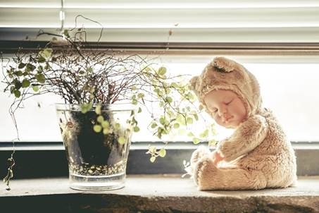 손오공, 앤 게디스 라이선스 인형 국내 최초 출시… 크라우드펀딩 오픈