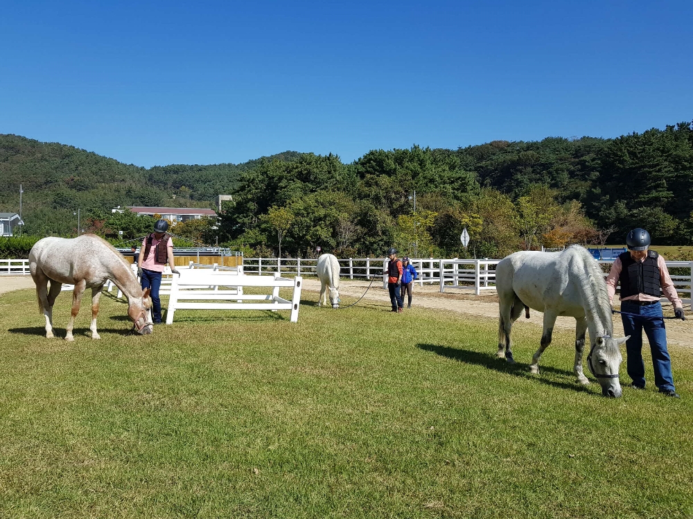(사진=한국마사회)