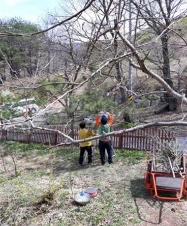 사회봉사대상자들이 조경작업을 하고 있다.(사진제공=경주준법지원센터)