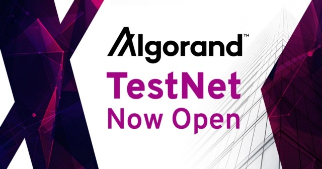 알고랜드 테스트넷 개방 발표, 일반인 대상으로 공개 전환