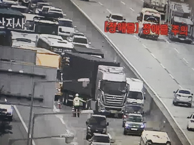 고속도로에 소 1마리가 출몰해 차량 정체중이다.(사진제공=부산경찰청)