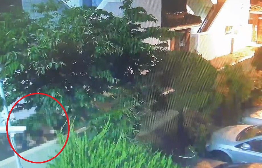 여성을 폭행하는 피의자.(사진제공=부산경찰청)