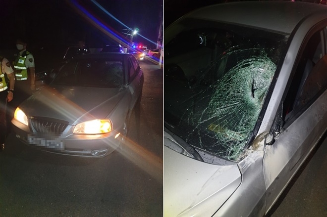 음주운전으로 보행자 2명을 충격후 도주한 차량.(사진제공=부산경찰청)