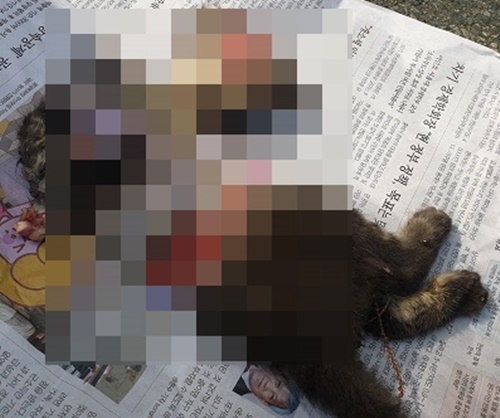 토막난 길고양이 사체. (사진제공=부산경찰청)