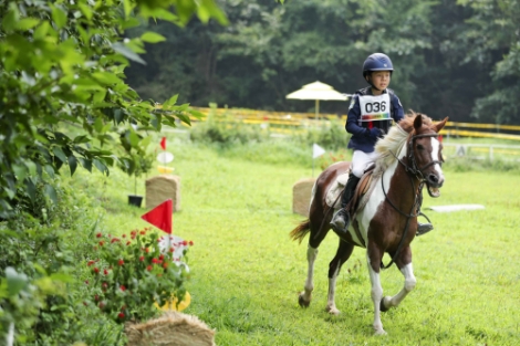 한국마사회가 강습비를 지원받을 수 있는 '전국민 승마체험' 참여자를 모집 중이다. 사진=한국마사회