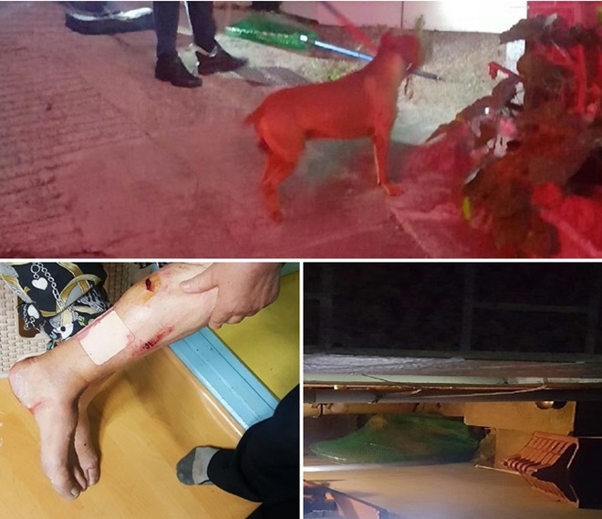 (사진제공=부산진소방서)