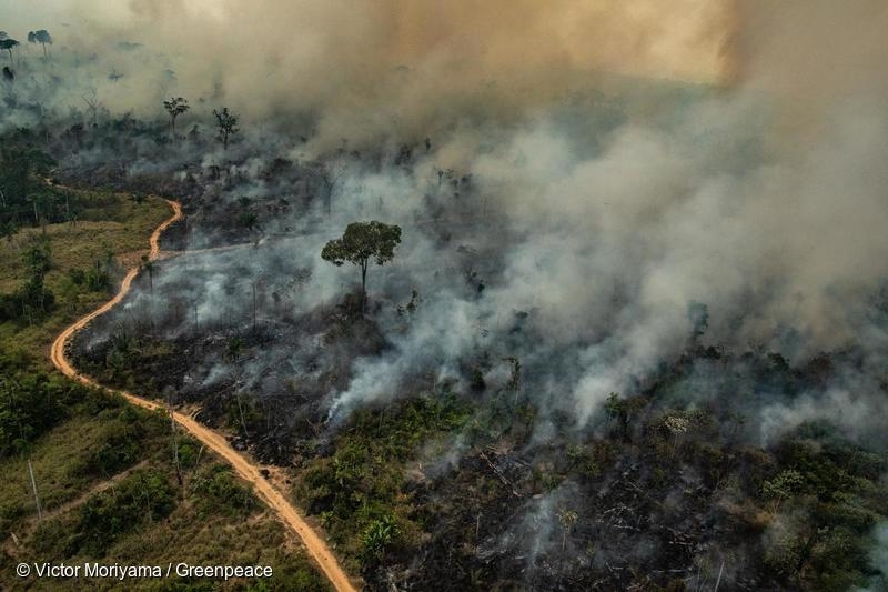 브라질 혼도니아주에서 발생한 화재 항공사진 (출처: 그린피스/ Victor Moriyama) 