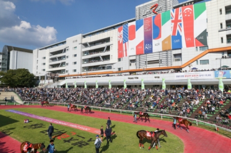 한국마사회가 국가대항전 '코리아컵'과 '코리아 스프린트'를 개최한다. 사진=마사회