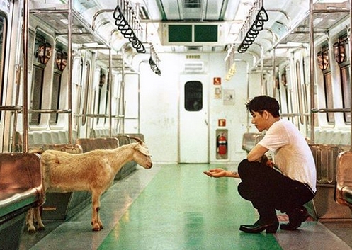 ‘지코’가 이날 하루 대중들의 집중적인 스포트라이트를 받고 있다. / 출처 에스엔에스