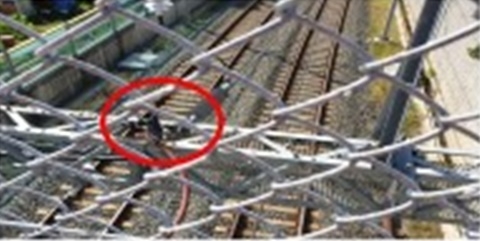 현장사진.(사진제공=부산소방재난본부119종합상황실)