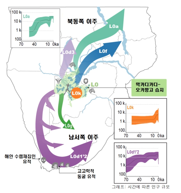L0 그룹의 하위 계통과 이주 지도 / 과기부