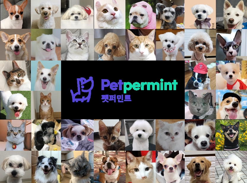 메리츠 펫퍼민트, 반려동물 보험 분석자료 공개