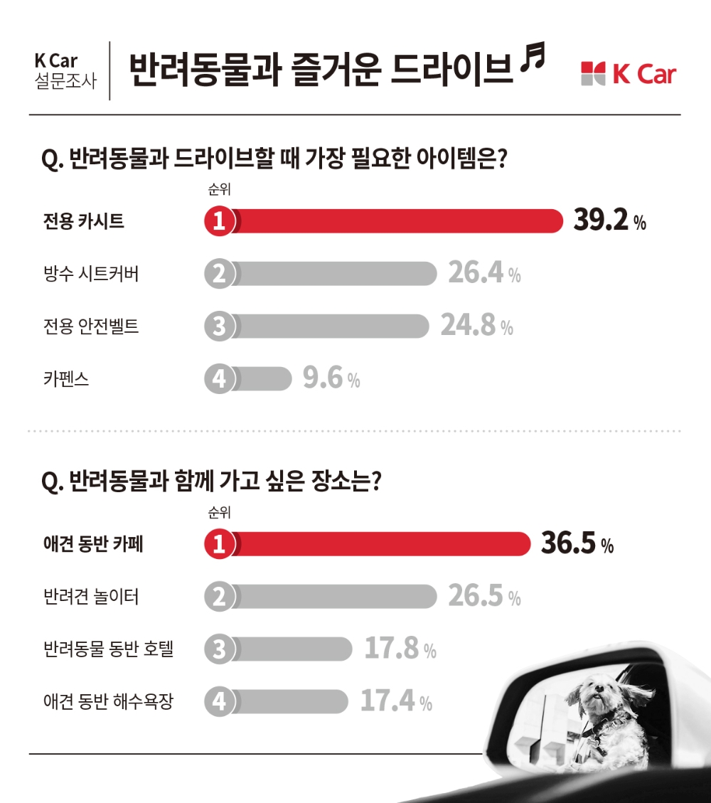 K Car, 반려동물과 드라이브 필수템은 ‘전용 카시트’