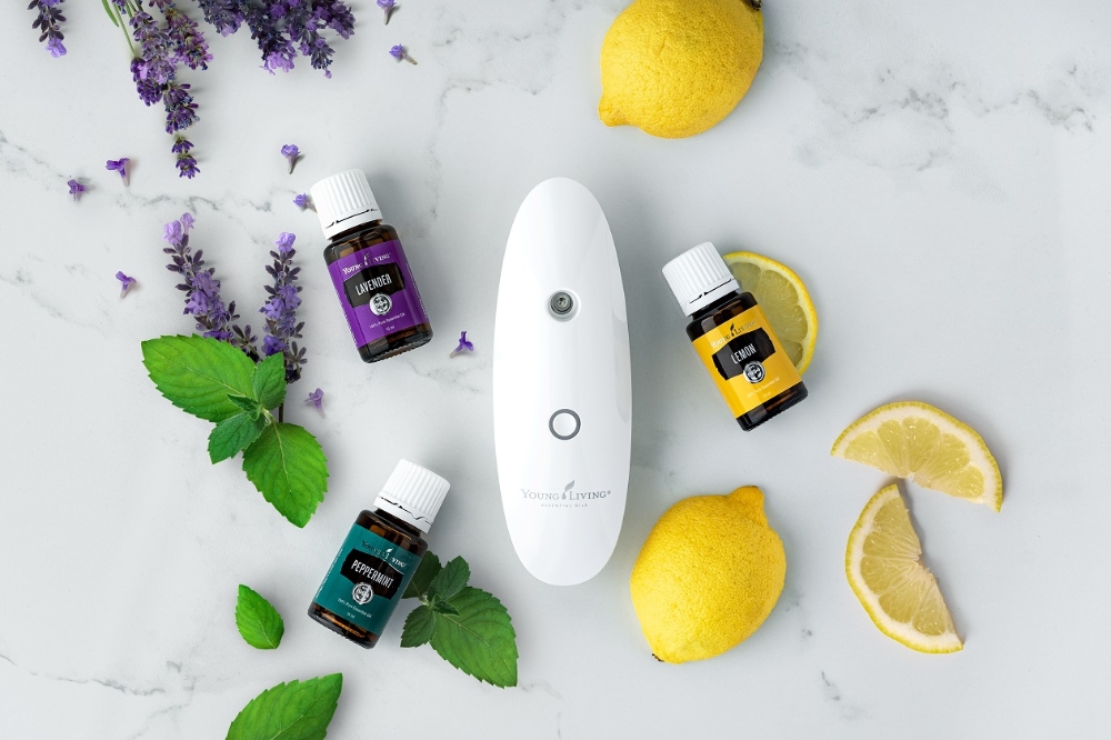 영리빙 코리아 공식 런칭