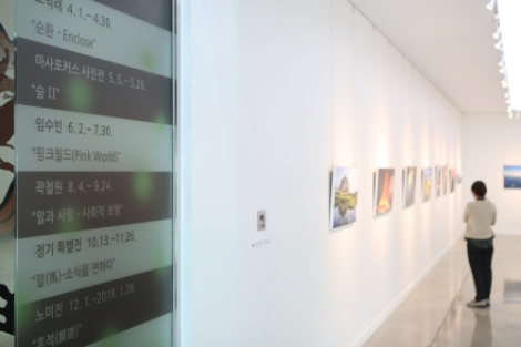 한국마사회 발막물관, 2020년 초대작가 공모기간 연장