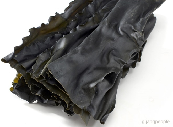 기장다시마.(사진=기장사람들)