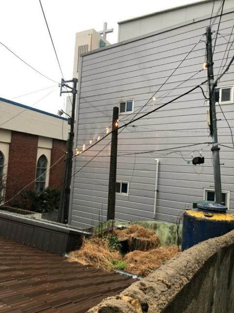 전봇대 전선이 합선으로 불.(사진제공=부산경찰청))