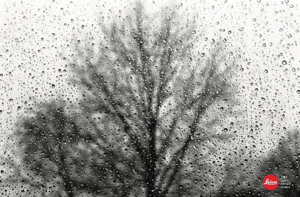 라이카 카메라, ‘라이카 어워드 코리아’의 수상자 포토그래퍼 정환영 사진전 진행