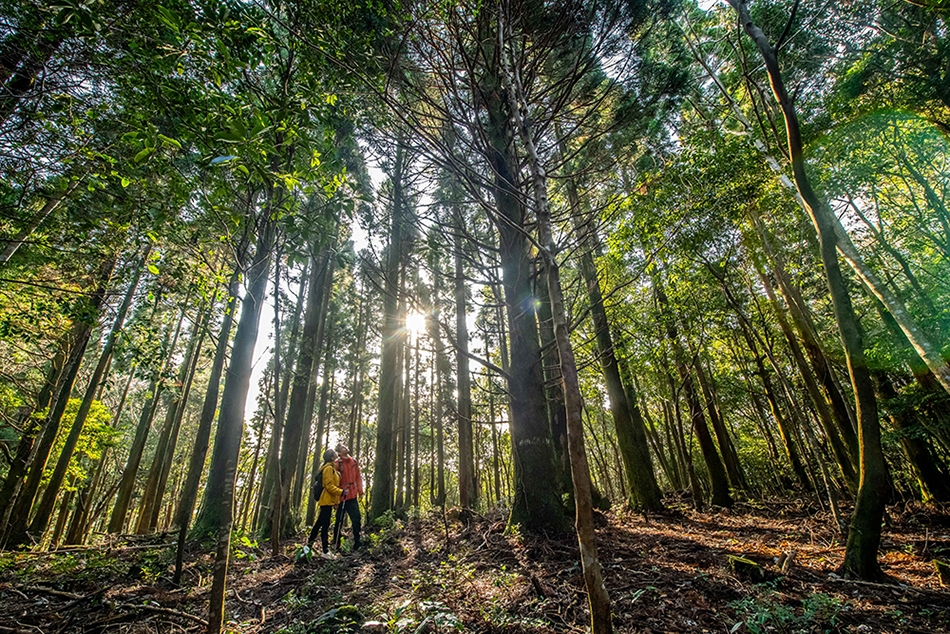 제주신라호텔, 패키지 '신라 포 유' 출시