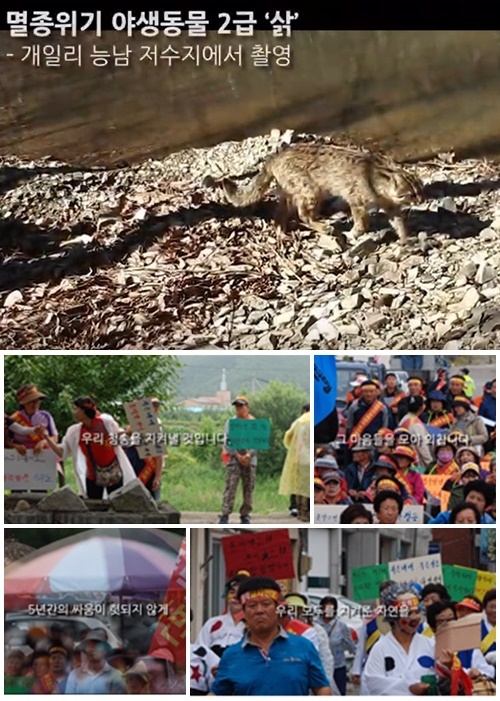 (사진=청송 면봉산풍력저지 연합대책위 제공 유튜브영상캡처)