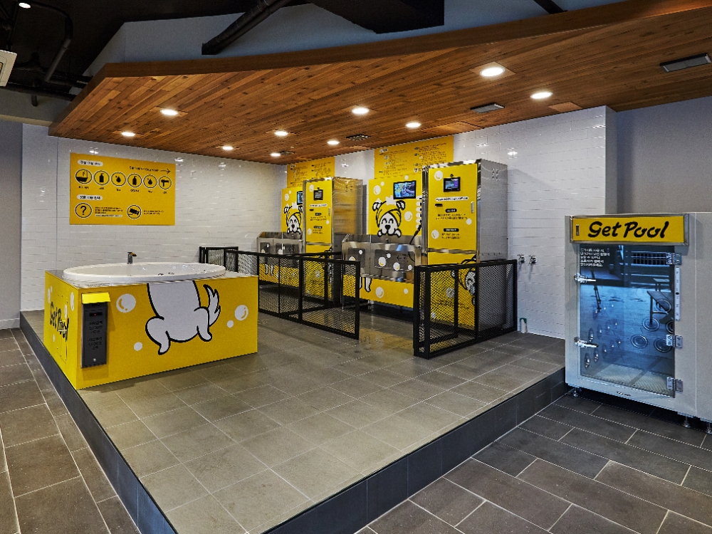 탐앤탐스, 반려견 셀프 목욕방 겟풀(getpool) 2호점 율동공원점 오픈