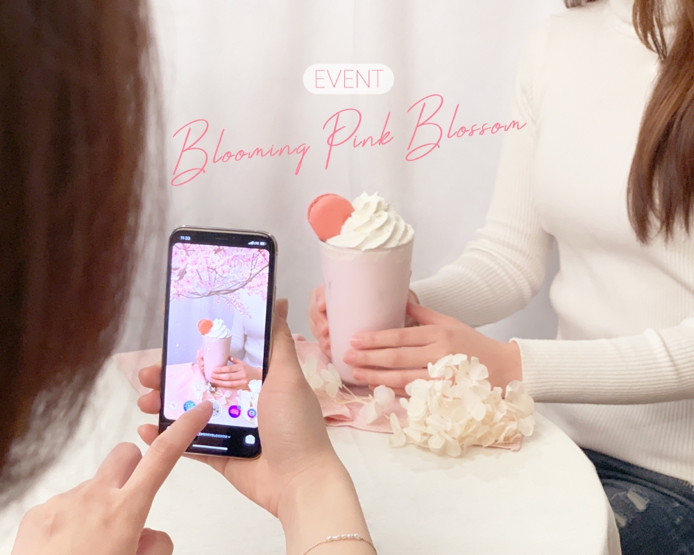 탐앤탐스, 벚꽃놀이 이벤트 선보여