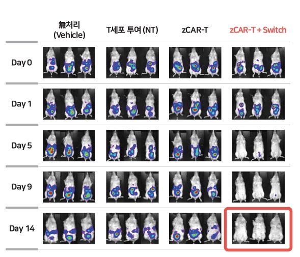 앱클론, 고형암 CAR-T 치료제(AT501) 임상 물질 도출 성공