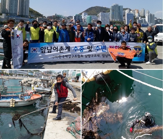 서구 안남항 일원 바닷속 폐기물을 수거하고 있다.(사진제공=한국해양구조협회 부산지부)