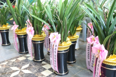 서울대병원, 화훼농가 돕기 릴레이 캠페인 동참