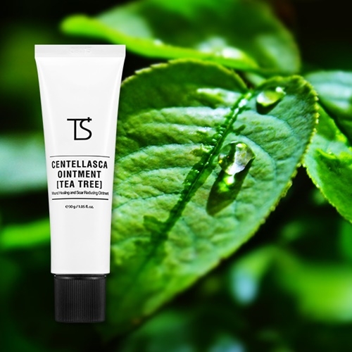 과감한 눈화장에 여드름흉터 트러블 낭패...패치대용 화장품 시카크림, 센텔라스카 연고