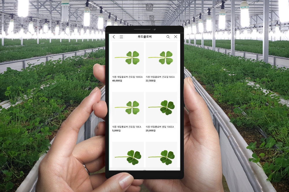 푸드클로버, 네잎클로버 카카오 쇼핑 판매 개시