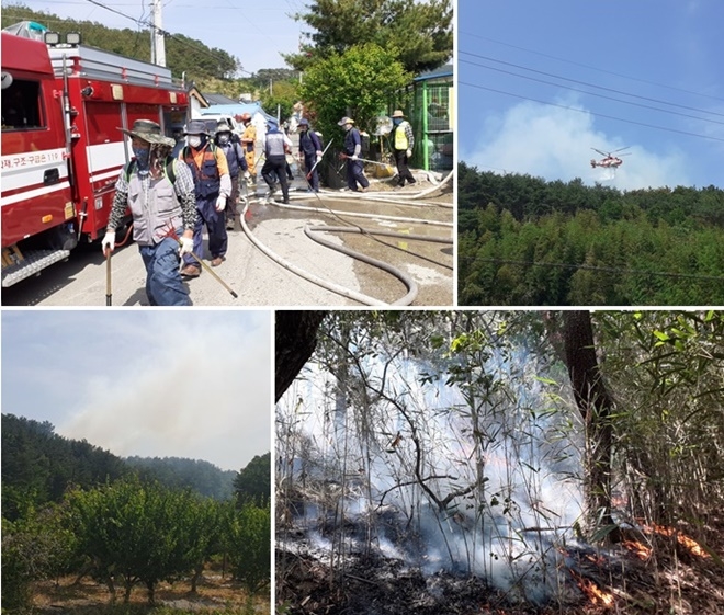 울산 북구 달곡마을 야산 산불을 진화하고 있다.(사진제공=울산소방본부)