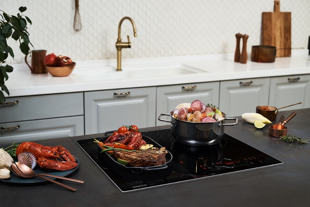 웰스(Wells), 전기레인지 2종 출시