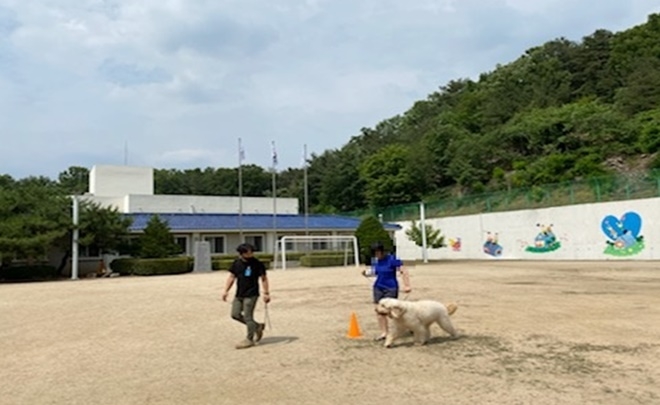 동물매개프로그램을 진행하고 있다.(사진제공=안양소년원)