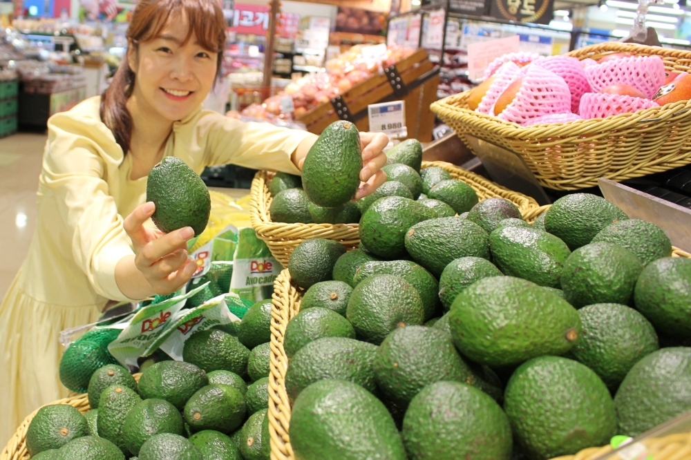 롯데쇼핑 "품질 좋은 페루산 아보카도 만나보세요"
