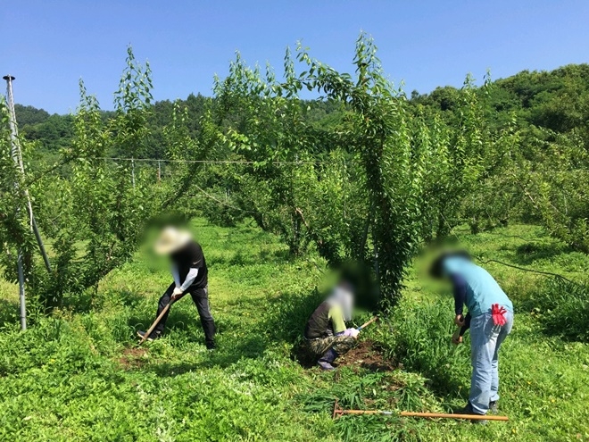 농가주의 사회봉사 국민공모제 신청으로 사회봉사자들을 지원해 일손을 돕고 있다.(사진제공=거창준법지원센터)