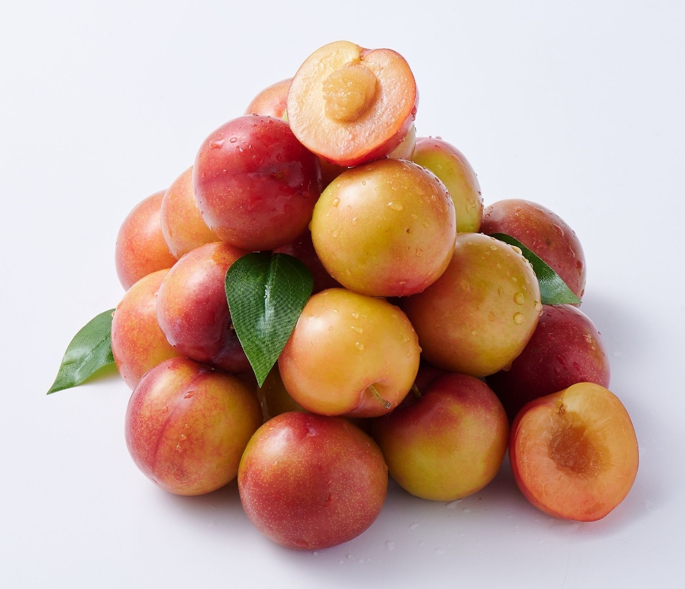 롯데마트 ‘대한민국 동행세일’ 1탄 행사 진행