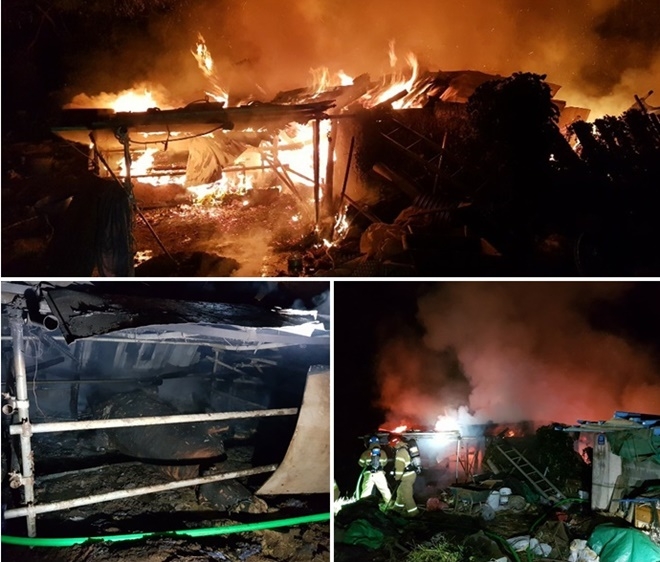 8월 1일 오후 10시 41분경 울산 울주군 온산읍 덕신리 한 축사 화재.(사진제공=울산소방본부)