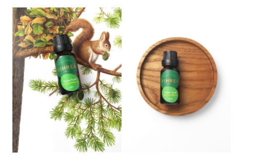 비레아 피톤터치, 천연 잣나무 에센셜 오일 마케팅 전개