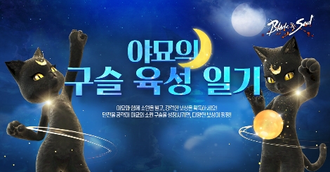 블레이드 & 소울, '야묘의 구슬 육성 일기' 이벤트 진행 안내 이미지. 사진=엔씨소프트
