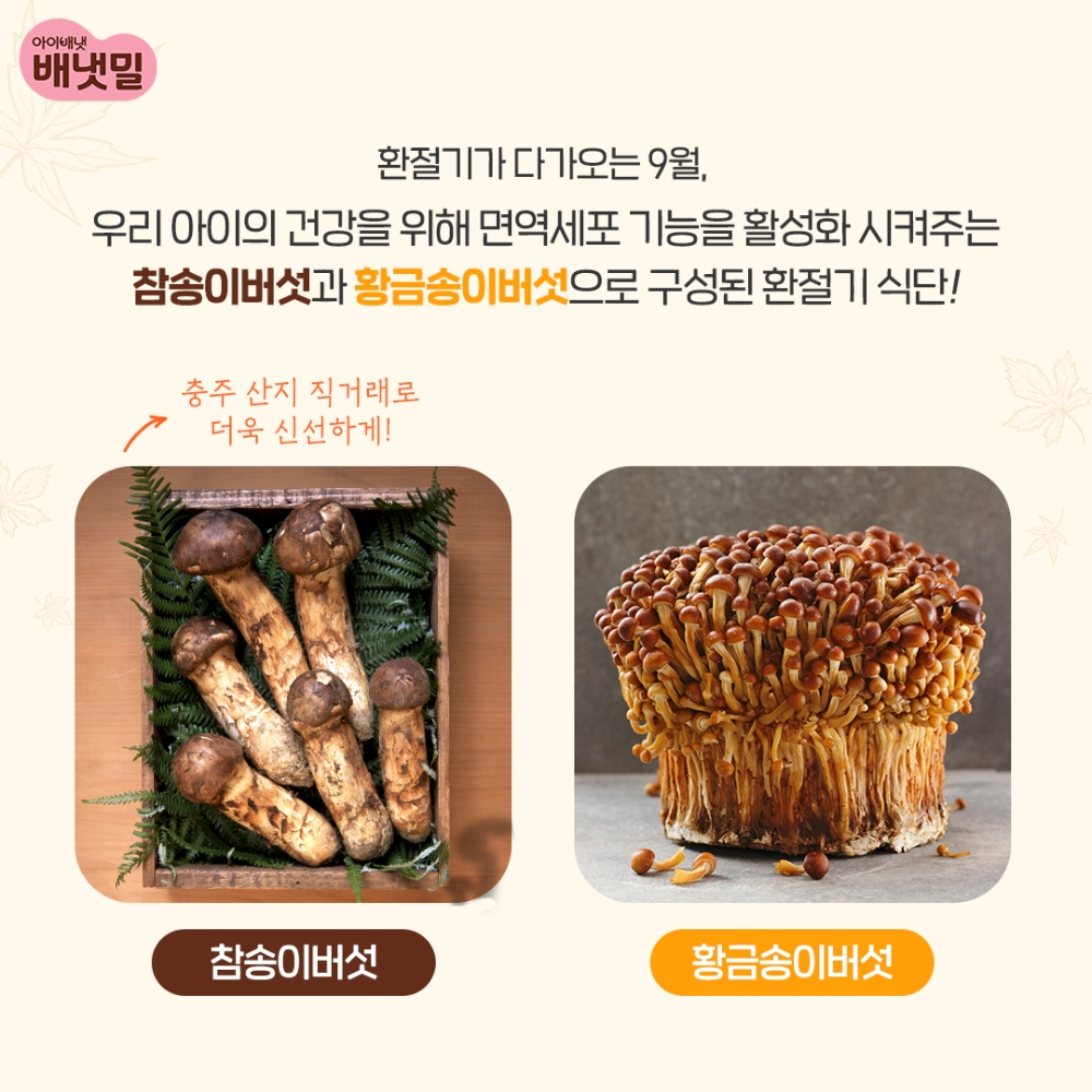 배냇밀 이유식 가을철 신메뉴 13종 출시.(사진=아이배냇)