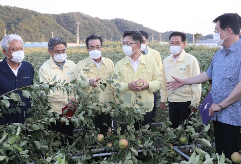 농협중앙회 이성희 회장(왼쪽 세번째)이 9일 경북 영천시 화남면 태풍 피해농가에 방문하여 김현수 농림축산식품부 장관(왼쪽 네번째), 이만희 국회의원(오른쪽 첫번째) 등과 함께 농작물 피해현황을 살피고 있다. 사진=농협중앙회