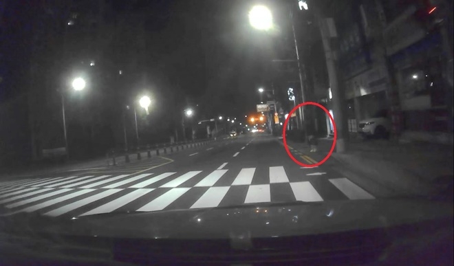 날치기 범을 범행 발생 30분만에 검거.(사진제공=부산경찰청)