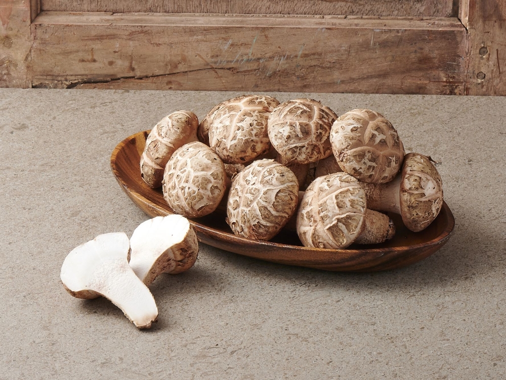 롯데마트, 신품종 버섯 ‘청흥송이’ 판매