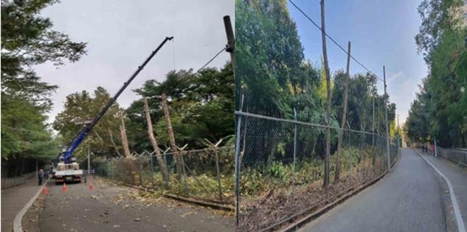 안양시 동안구 경수대로 498번길 안양 호성초등학교 인근 등하교길 및 산책로.(사진제공=서울소년분류심사원)