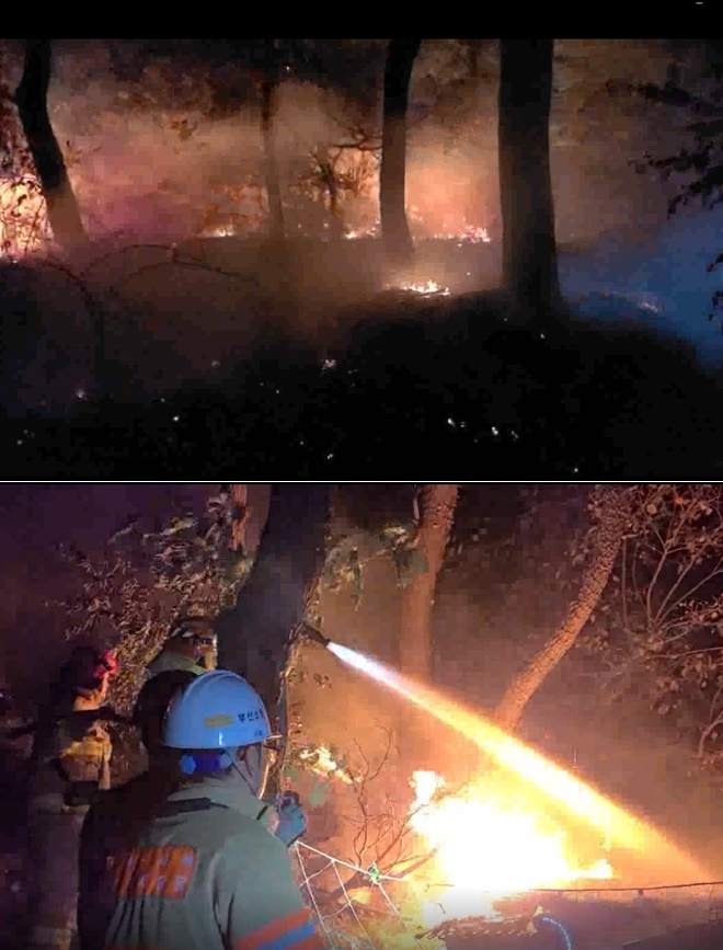 11월 8일 오후 6시 30분경 발생한 부산 사하구 아미산 산불을 진화하고 있다. (사진제공=부산소방재난본부)